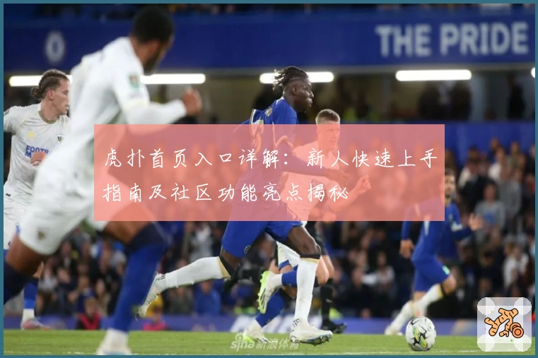 虎扑首页入口详解：新人快速上手指南及社区功能亮点揭秘