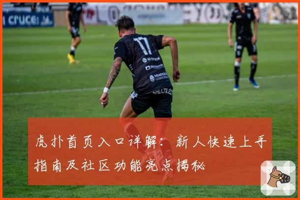 虎扑首页入口详解：新人快速上手指南及社区功能亮点揭秘