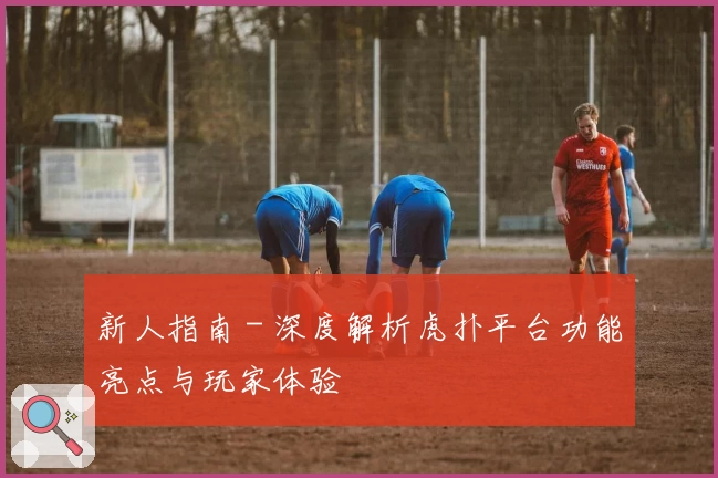 新人指南 - 深度解析虎扑平台功能亮点与玩家体验
